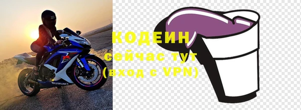 гидра Богородицк
