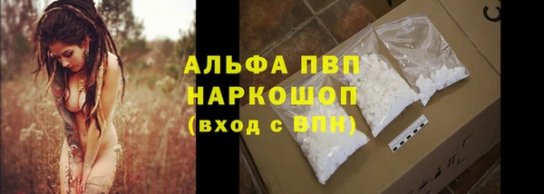 молекула духа Белоозёрский