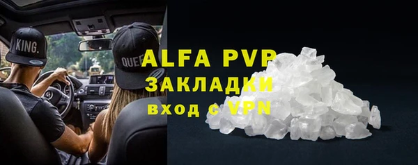 крисы Белокуриха