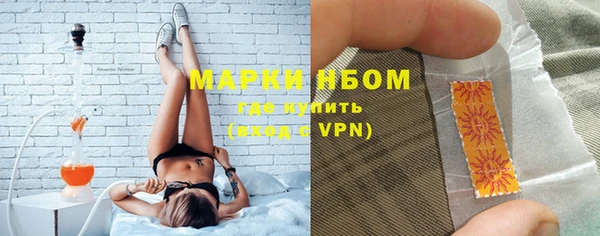 гидра Богородицк