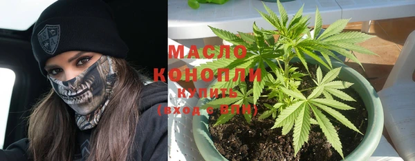 гидра Богородицк