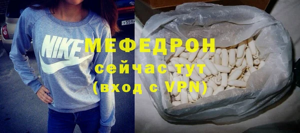 гидра Богородицк