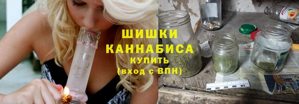 гидра Богородицк