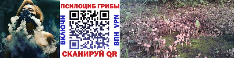 Псилоцибиновые грибы Psilocybine cubensis Воронеж