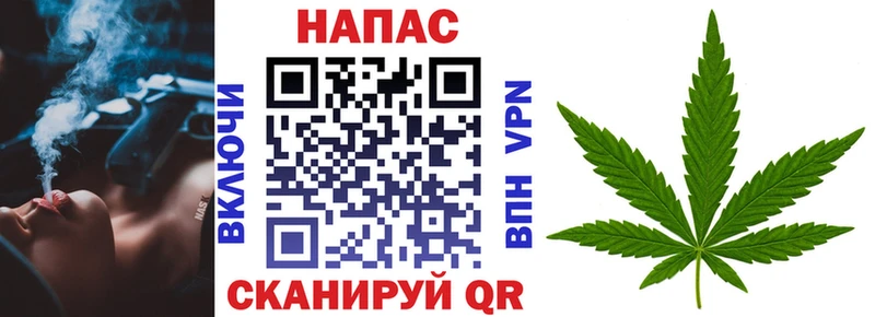 Конопля план где купить наркоту Воронеж